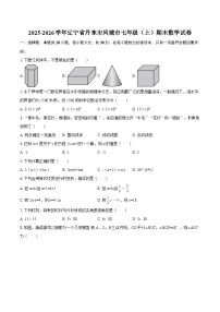 2025-2026学年辽宁省丹东市凤城市七年级（上）期末数学试卷-自定义类型