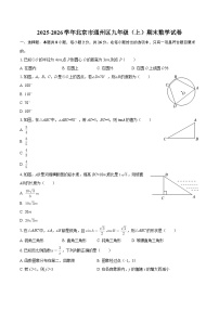 2025-2026学年北京市通州区九年级（上）期末数学试卷-自定义类型