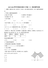 2025-2026学年甘肃省白银市八年级（上）期末数学试卷-自定义类型