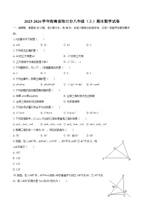 2025-2026学年海南省海口市八年级（上）期末数学试卷-自定义类型