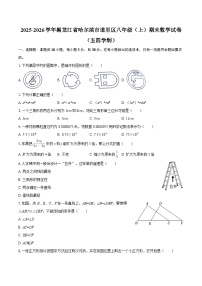 2025-2026学年黑龙江省哈尔滨市道里区八年级（上）期末数学试卷（五四学制）-自定义类型
