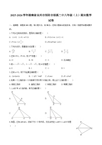 2025-2026学年湖南省永州市祁阳市浯溪二中八年级（上）期末数学试卷-自定义类型