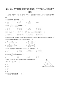 2025-2026学年湖南省永州市祁阳市浯溪一中八年级（上）期末数学试卷-自定义类型