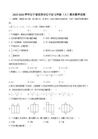 2025-2026学年辽宁省沈阳市辽中区七年级（上）期末数学试卷-自定义类型