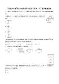 2025-2026学年辽宁省沈阳市于洪区七年级（上）期末数学试卷-自定义类型