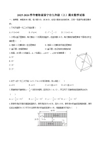 2025-2026学年青海省西宁市九年级（上）期末数学试卷-自定义类型