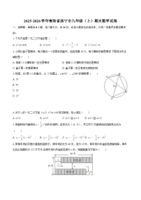 2025-2026学年青海省西宁市九年级（上）期末数学试卷-自定义类型