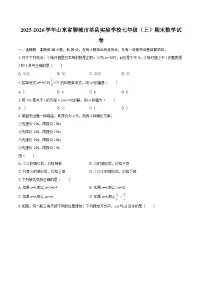 2025-2026学年山东省聊城市莘县实验学校七年级（上）期末数学试卷-自定义类型