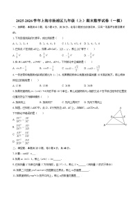 2025-2026学年上海市杨浦区九年级（上）期末数学试卷（一模）-自定义类型