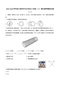 2025-2026学年四川省泸州市江阳区八年级（上）期末数学模拟试卷（一）-自定义类型
