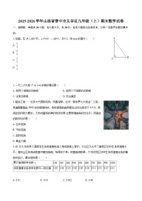 2025-2026学年山西省晋中市太谷区九年级（上）期末数学试卷-自定义类型
