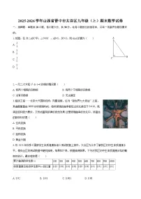 2025-2026学年山西省晋中市太谷区九年级（上）期末数学试卷-自定义类型