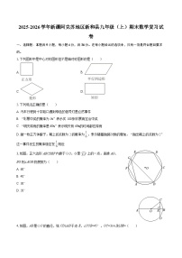 2025-2026学年新疆阿克苏地区新和县九年级（上）期末数学复习试卷-自定义类型