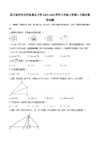 四川省泸州市泸县第五中学2025-2026学年八年级上学期1月期末数学试题-自定义类型