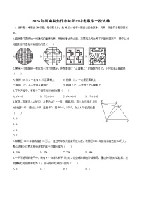 2026年河南省焦作市沁阳市中考数学一检试卷-自定义类型