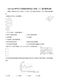 2025-2026学年辽宁省阜新市海州区九年级（上）期末数学试卷（含答案+解析）