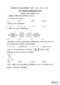 新疆维吾尔自治区阿克苏地区阿克苏市2024-2025学年九年级上学期12月月考数学试题（月考）