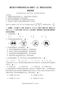 重庆育才中学教共体2025-2026学年九年级上学期第四次自主作业数学试卷（月考）(001)