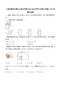 山东省青岛市崂山区育才学校2025-2026学年九年级上学期1月月考数学试卷-自定义类型