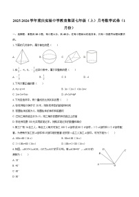 2025-2026学年重庆实验中学教育集团七年级（上）月考数学试卷（1月份）-自定义类型