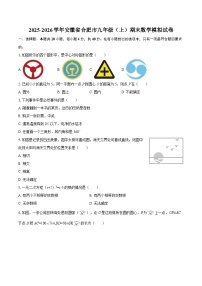2025-2026学年安徽省合肥市九年级（上）期末数学模拟试卷-自定义类型