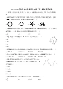 2025-2026学年北京市海淀区九年级（上）期末数学试卷-自定义类型