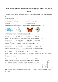 2025-2026学年黑龙江省伊春市南岔县两校联考八年级（上）期末数学试卷-自定义类型