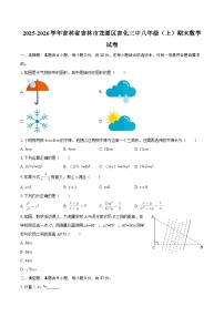 2025-2026学年吉林省吉林市龙潭区吉化三中八年级（上）期末数学试卷-自定义类型