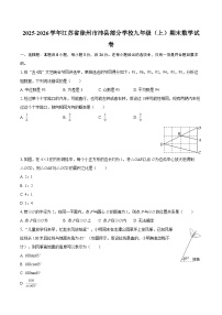 2025-2026学年江苏省徐州市沛县部分学校九年级（上）期末数学试卷-自定义类型