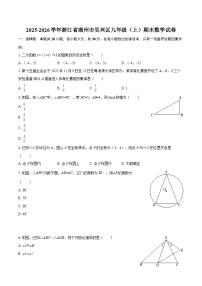 2025-2026学年浙江省湖州市吴兴区九年级（上）期末数学试卷-自定义类型