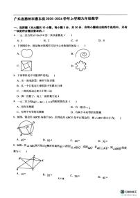 2025-2026学年广东省惠州市惠东县上学期九年级数学12月月考试卷(,有答案)