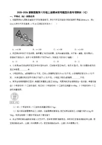 2025-2026浙教版数学八年级上册期末常考题型分类专项特训（七）