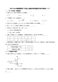 2025-2026浙教版数学八年级上册期末常考题型分类专项特训（十）