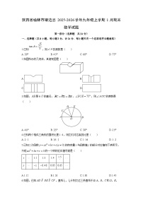 2025-2026学年陕西省榆林市靖边县九年级上学期1月期末数学试卷（学生版）