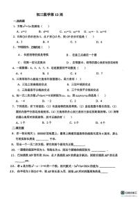 山西省太原市阳曲县龙城双语实验学校2024-2025学年上学期第13周周考九年级数学试卷（月考）