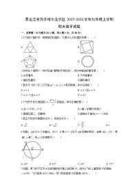 2025-2026学年黑龙江省齐齐哈尔龙沙区九年级上学期期末数学试卷（学生版）
