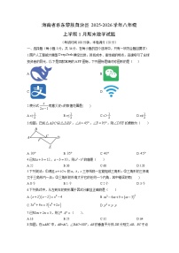 2025-2026学年海南省乐东黎族自治县八年级上学期1月期末数学试卷（学生版）