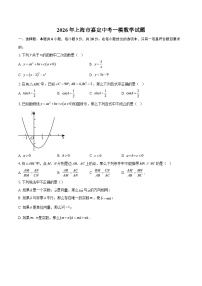 2026年上海市嘉定中考一模数学试题-自定义类型