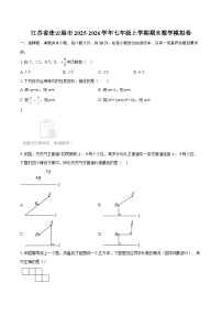 江苏省连云港市2025-2026学年七年级上学期期末数学模拟卷-自定义类型