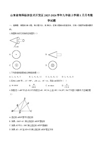 山东省菏泽经济技术开发区2025-2026学年九年级上学期1月月考数学试题-自定义类型
