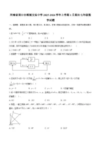 河南省周口市郸城文灿中学2025-2026学年上学期1月期末七年级数学试题-自定义类型