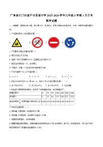 广东省江门市恩平市圣堂中学2025-2026学年九年级上学期1月月考数学试题-自定义类型