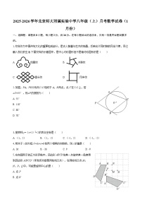 2025-2026学年北京师大附属实验中学八年级（上）月考数学试卷（1月份）-自定义类型