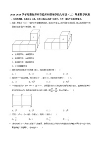 2024-2025学年河南省郑州市经开外国语学校九年级（上）期末数学试卷
