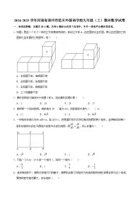 2024-2025学年河南省郑州市经开外国语学校九年级（上）期末数学试卷