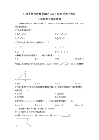 2024-2025学年江西省新余市仙女湖区七年级下学期期末数学试卷（学生版）