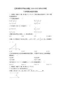 2024-2025学年江西省新余市仙女湖区七年级下学期期末数学试卷（学生版）