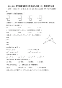 福建省福州市闽清县八年级上学期期末数学试卷-A4