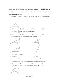 2022-2023学年广东省广州市番禺区八年级上学期期末数学试卷（含答案）