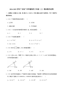 2024-2025学年广东省广州市番禺区八年级上学期期末数学试卷（含答案）